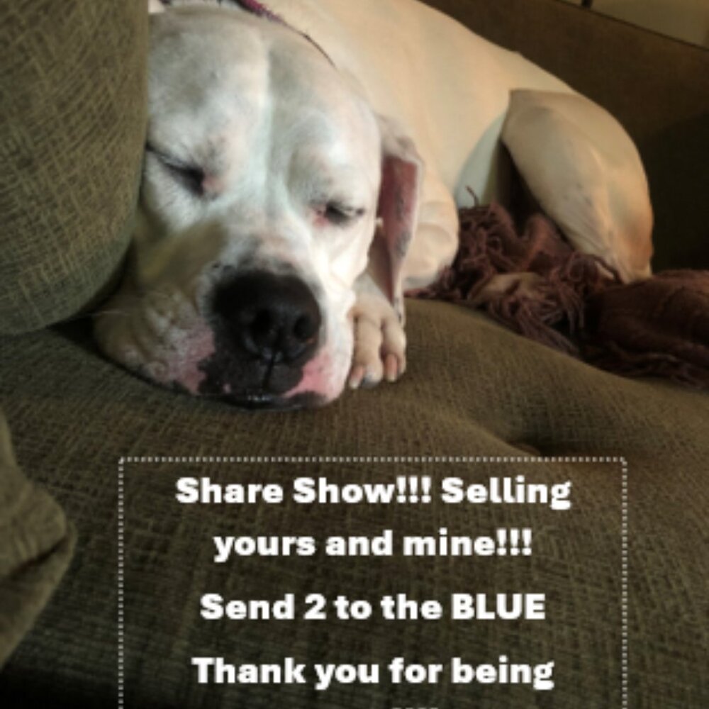 Selling Yours and Mine! Share 2 to the blue! - Picture 1 of 14